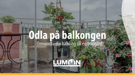 Balkongodling---Lumon-balkonginglasningar