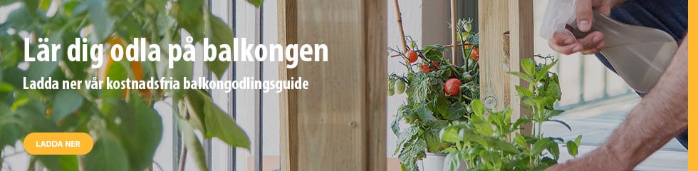 Odla på balkongen - Lumon balkonginglasningar-3