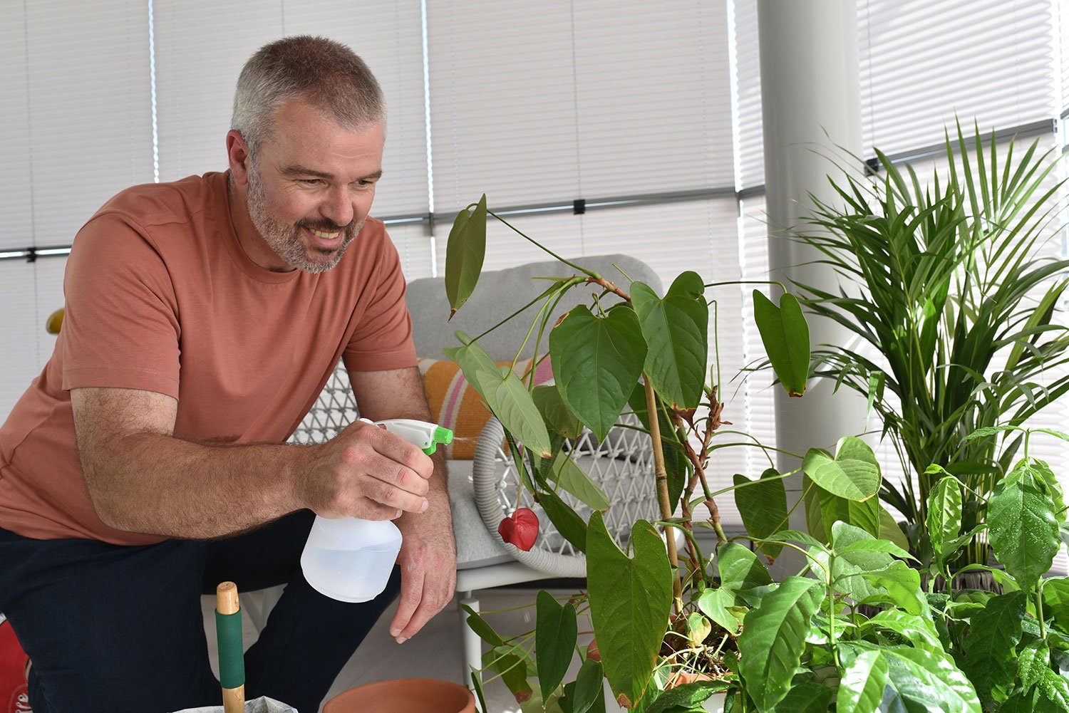 Plantas trepadoras para terraza: Cómo aprovecharlas