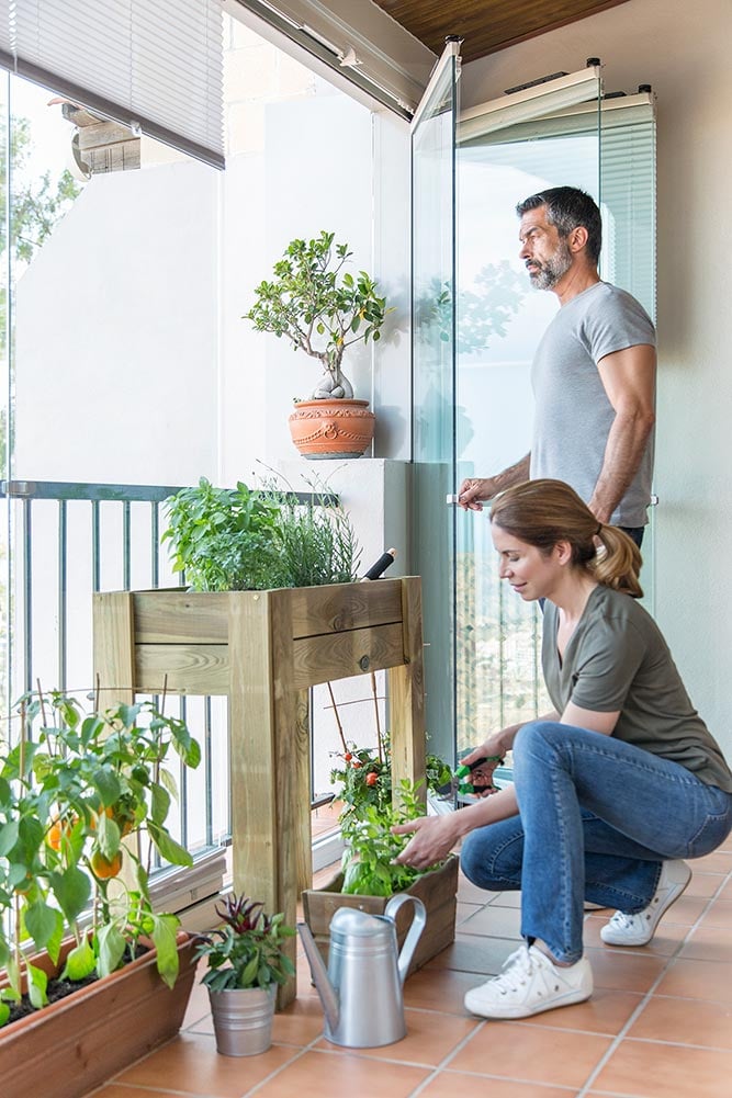 Tu Huerto Urbano En La Terraza Guía Para Principiantes 7248