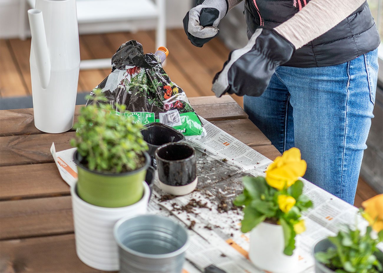 preparativos-plantas-colgantes