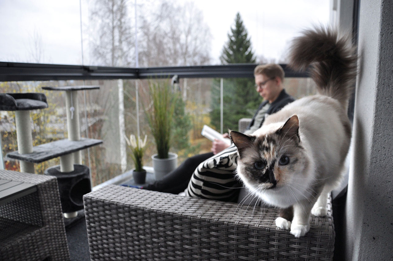 Husdjur på balkongen - Lumon balkonginglasningar
