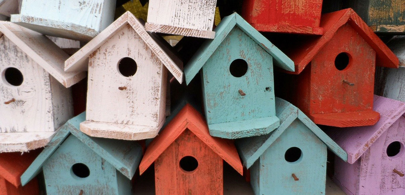 Guía para hacer casas para pájaros